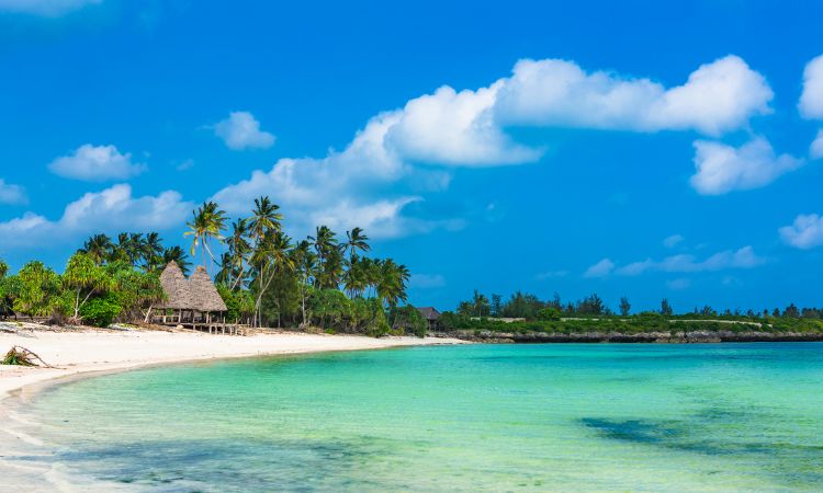 Zanzibar trips